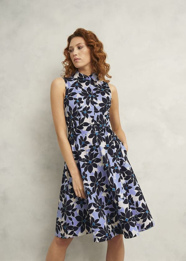 hobbs Petite Beki Cotton Dress Multi