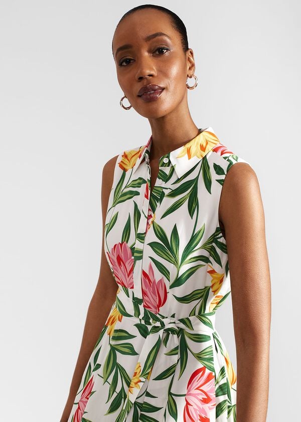 Hobbs Petite Belinda Dress Ivory Multi