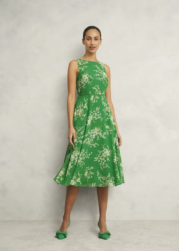 hobbs Petite Carly Dress Green Ivory