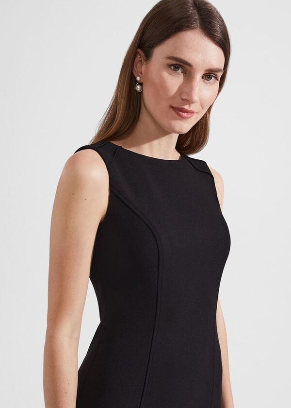 Hobbs Petite Charley Dress Black