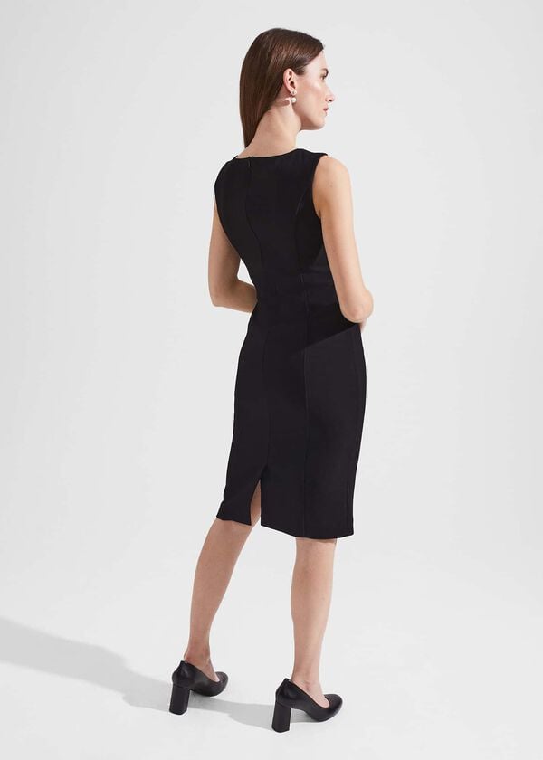 Hobbs Petite Charley Dress Black