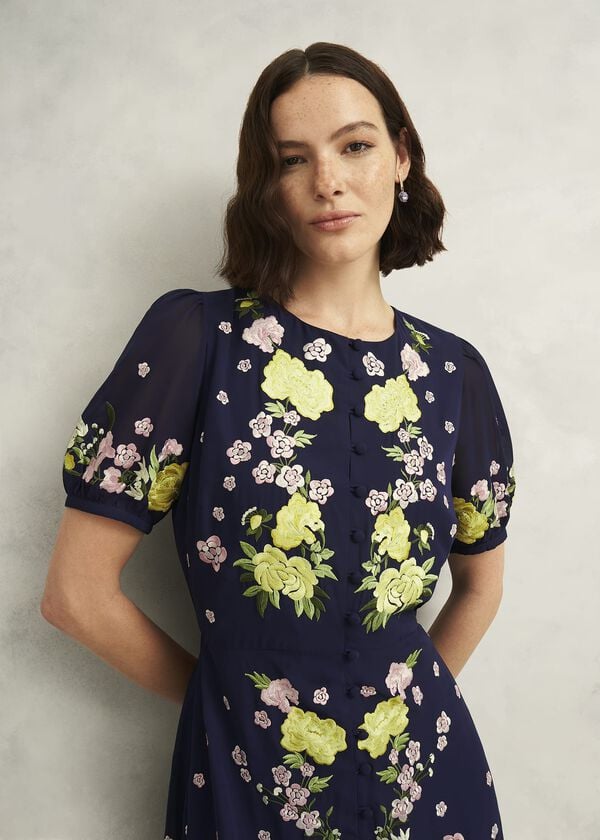 Hobbs Petite Elva Embroiderd Dress Midnight Multi