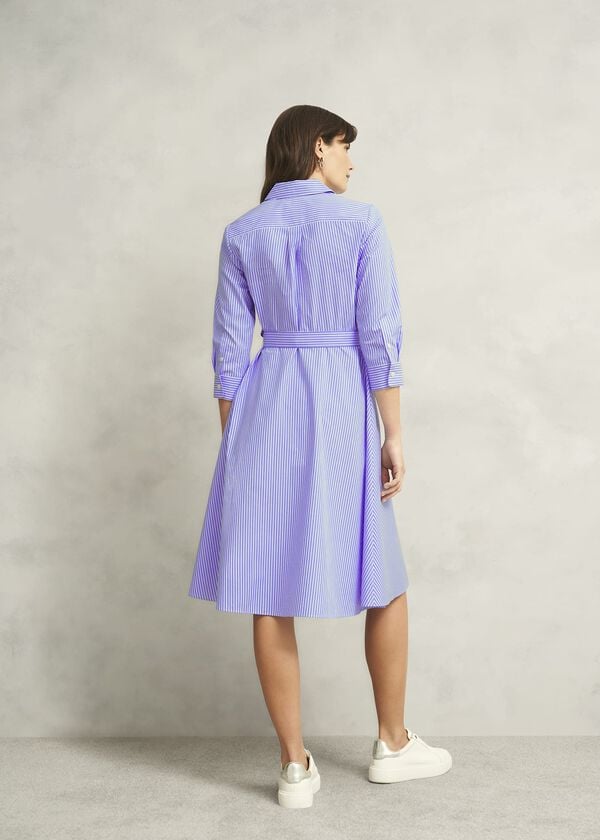 Hobbs Petite Harlow Cotton Dress Blue Ivory