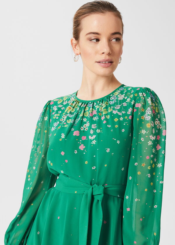 Hobbs Petite Maria Floral Dress Green Multi