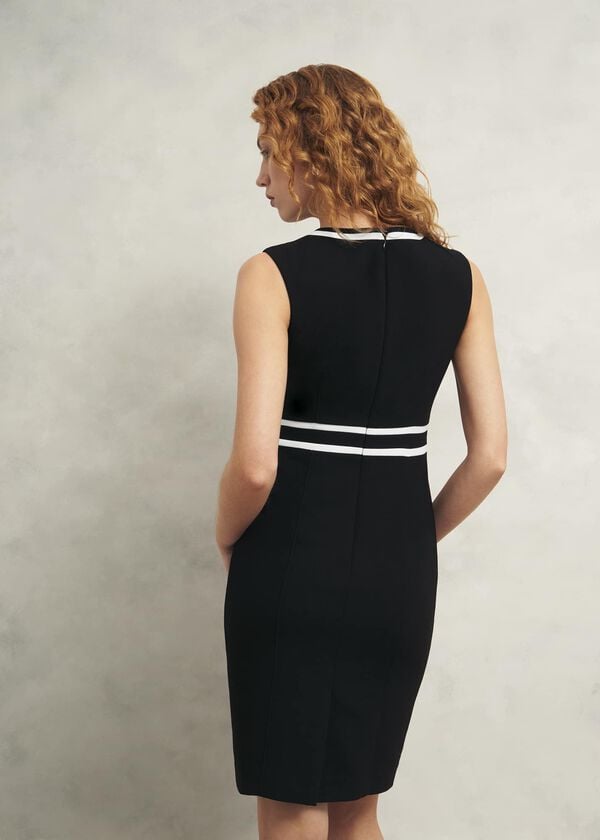 Hobbs Petite Nory Dress Black Ivory