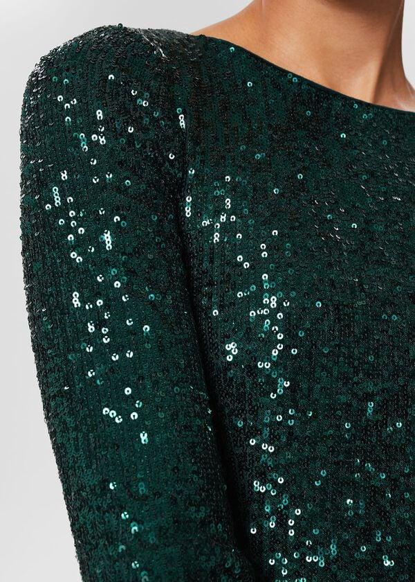Hobbs Petite Sawyer Sequin Dress Evergreen