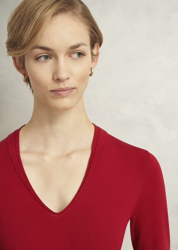 Hobbs Petite Scarlett Dress Pomegranate Red