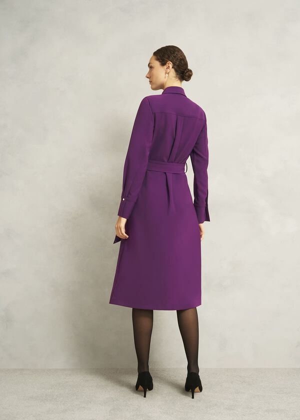 Hobbs Petite Violet Dress Vibrant Purple