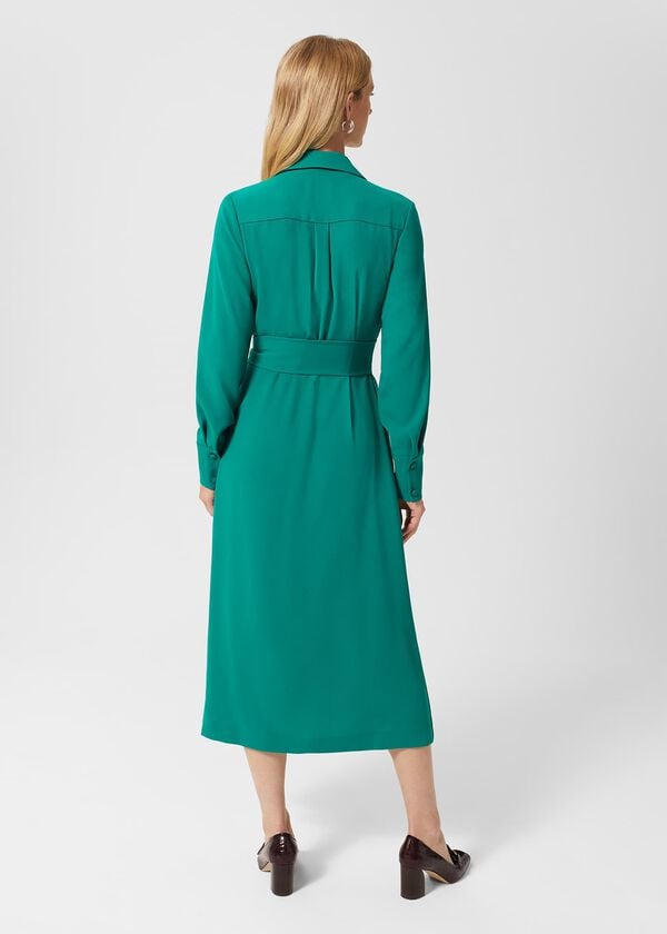 Hobbs Prue Maxi Fit And Flare Dress Green