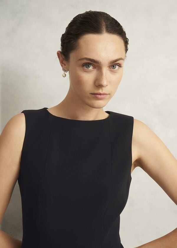 Hobbs Rae Sleeveless Dress Black