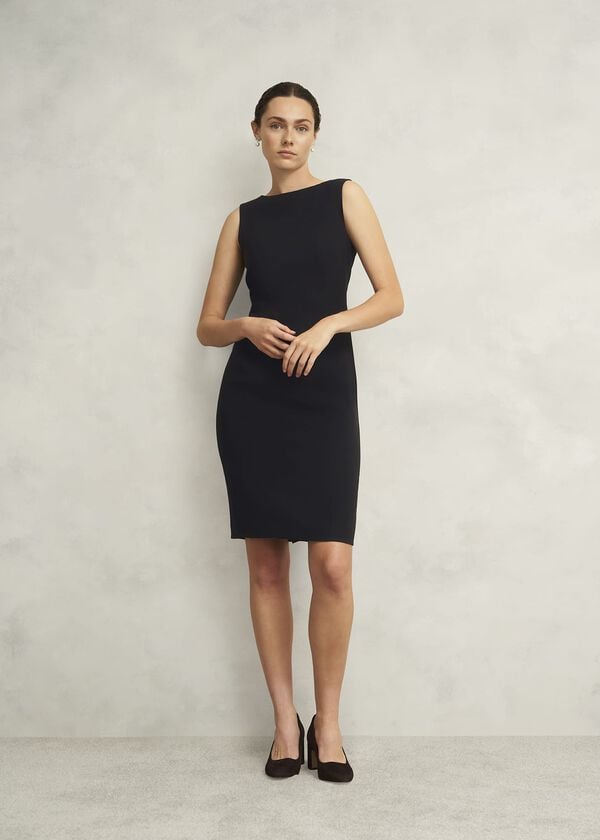 hobbs Rae Sleeveless Dress Black