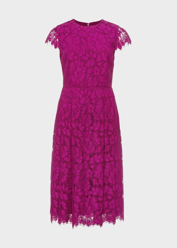 Hobbs Rosaleen Lace Shift Dress Berry Purple