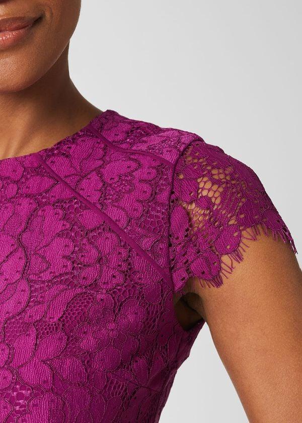 Hobbs Rosaleen Lace Shift Dress Berry Purple