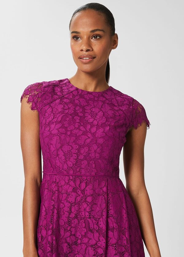 Hobbs Rosaleen Lace Shift Dress Berry Purple