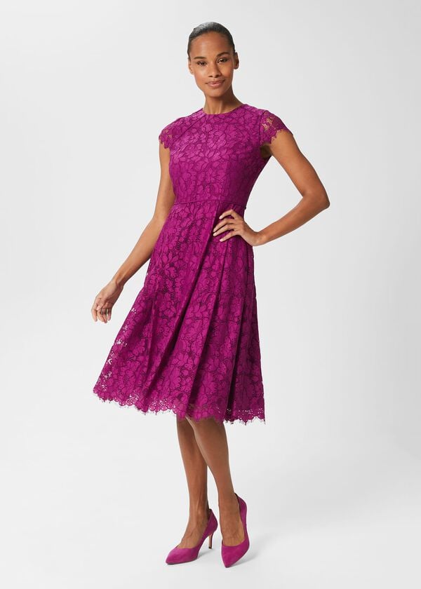 hobbs Rosaleen Lace Shift Dress Berry Purple