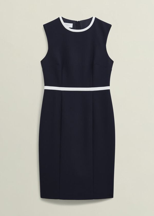 Hobbs Sally Dress Navy Ivory