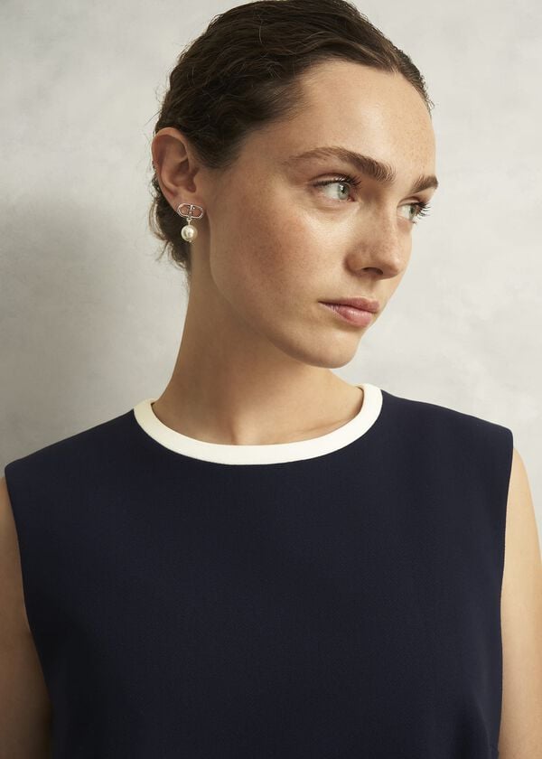 Hobbs Sally Dress Navy Ivory