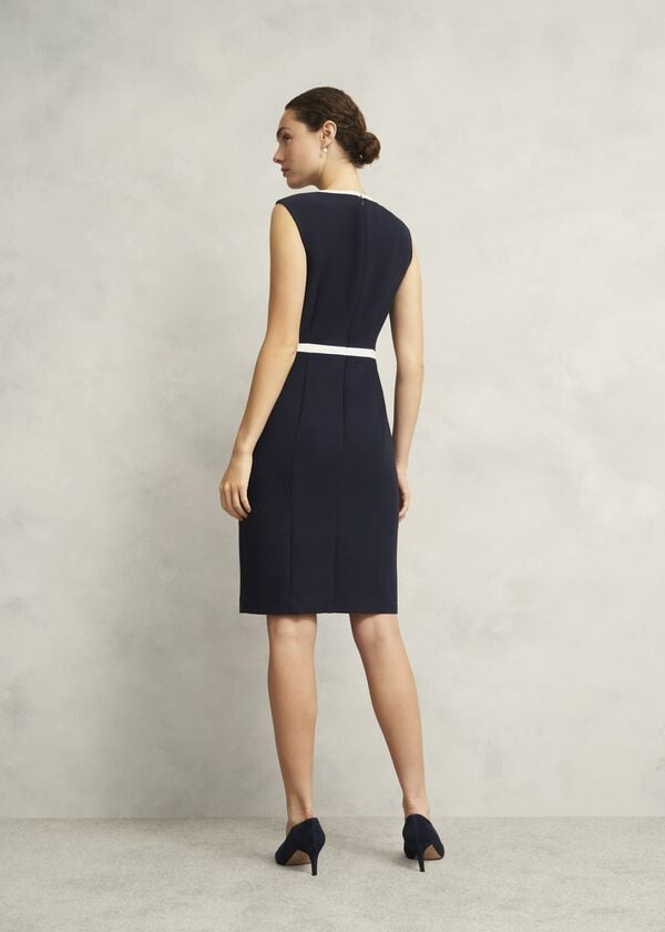 Hobbs Sally Dress Navy Ivory