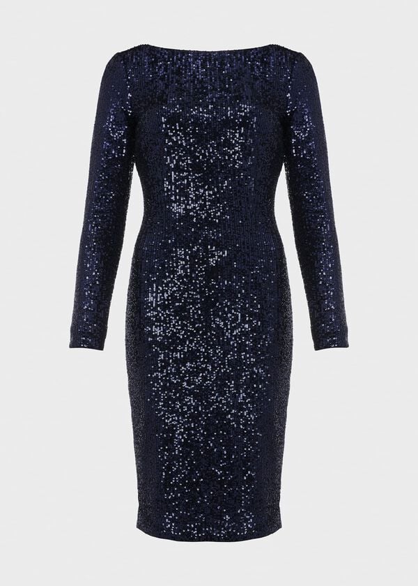 Hobbs Sawyer Dress Ink Blue