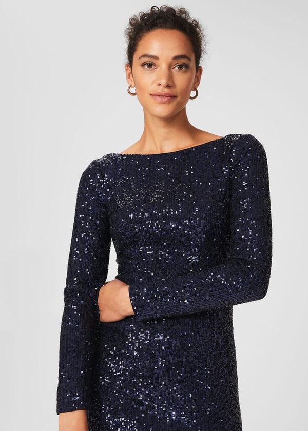 Hobbs Sawyer Dress Ink Blue