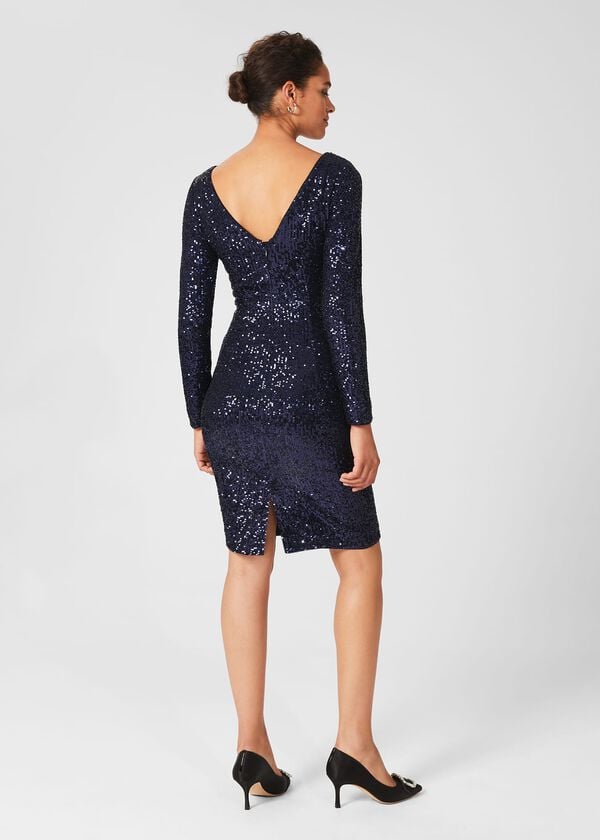 Hobbs Sawyer Dress Ink Blue