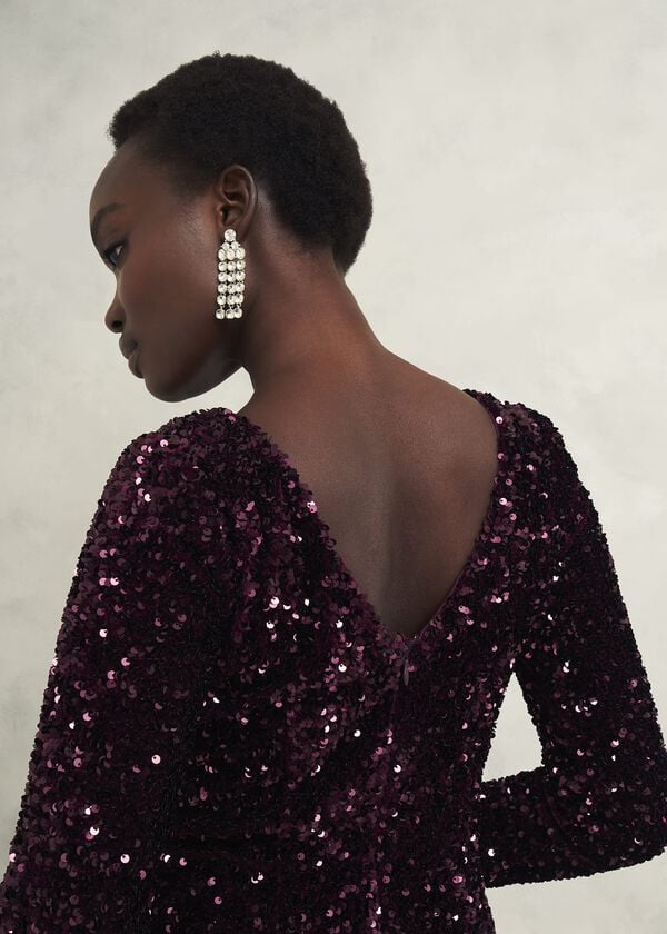 Hobbs Sawyer Sequin Dress Warm Plum