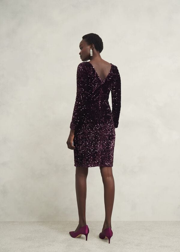 Hobbs Sawyer Sequin Dress Warm Plum