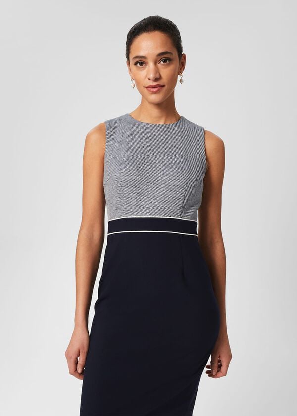 Hobbs Steph Dress Navy Multi