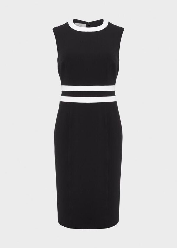 Hobbs Suri Dress Black Ivory
