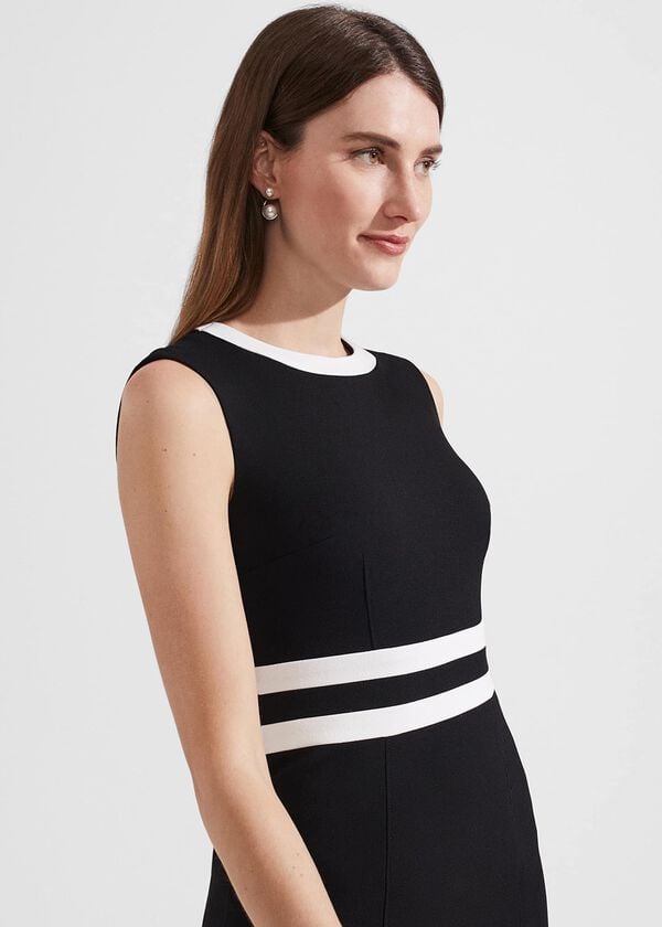 Hobbs Suri Dress Black Ivory