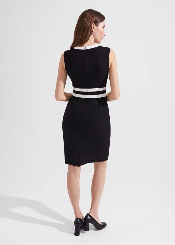 Hobbs Suri Dress Black Ivory