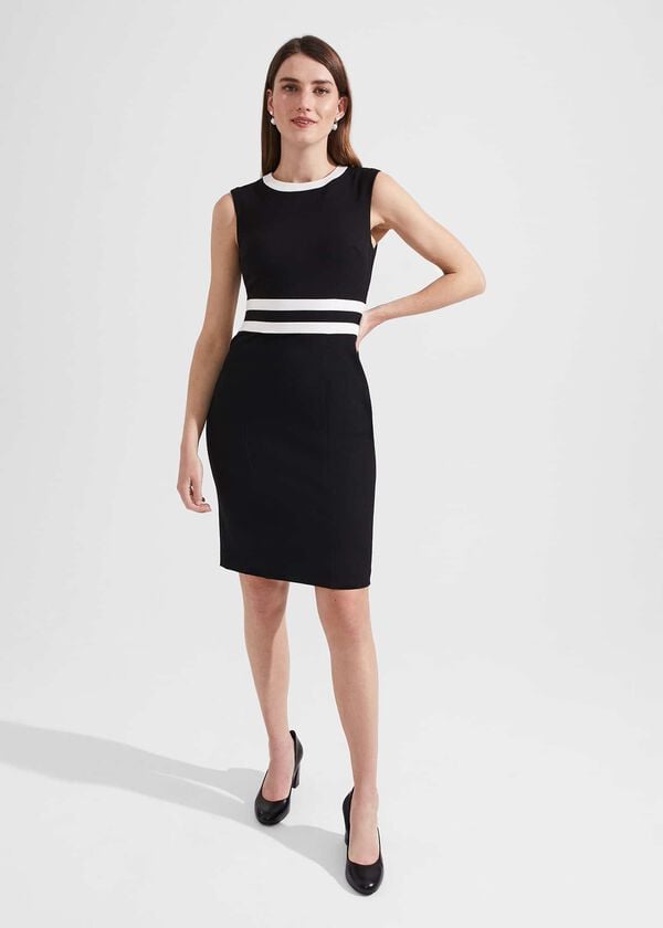 hobbs Suri Dress Black Ivory