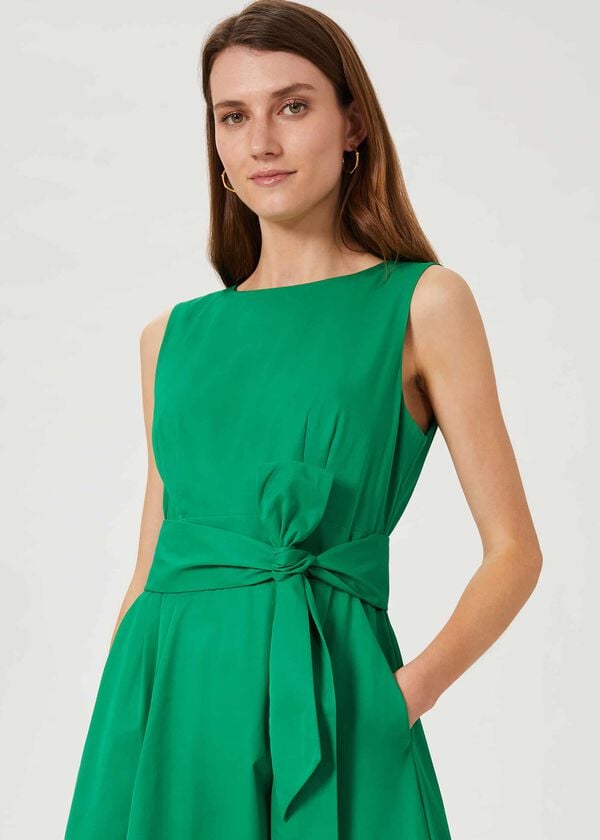 Hobbs Tara Dress Field Green