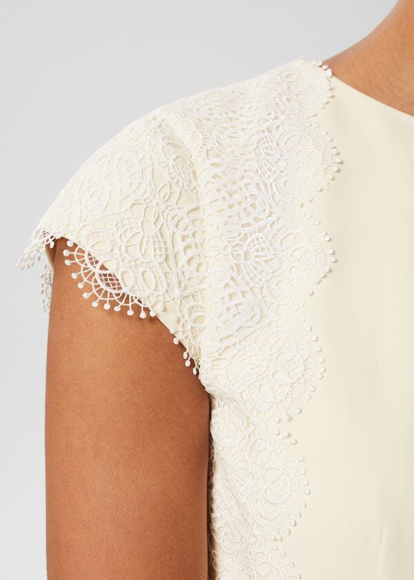 Hobbs Valentina Lace Shift Dress Pale Yellow