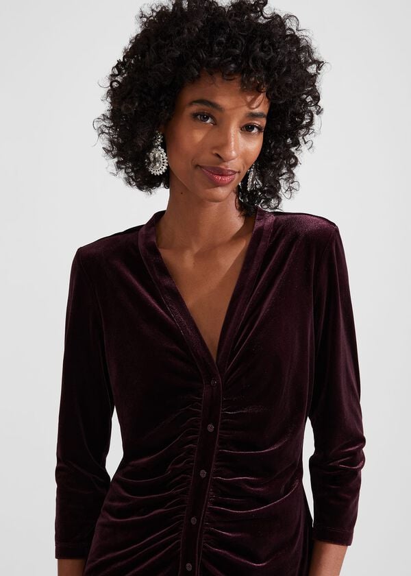 Hobbs Velvet Hattie Top Maroon Purple