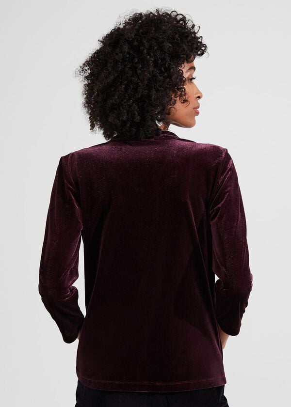 Hobbs Velvet Hattie Top Maroon Purple