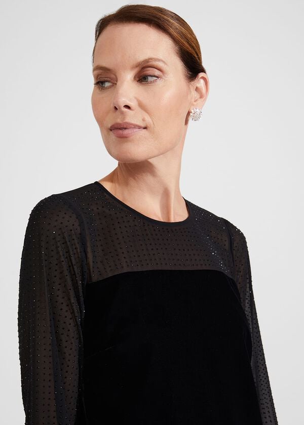 Hobbs Zariah Velvet A Line Dress Black