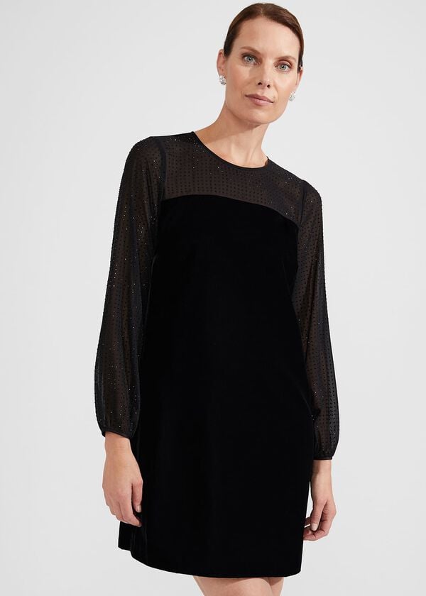 hobbs Zariah Velvet A Line Dress Black