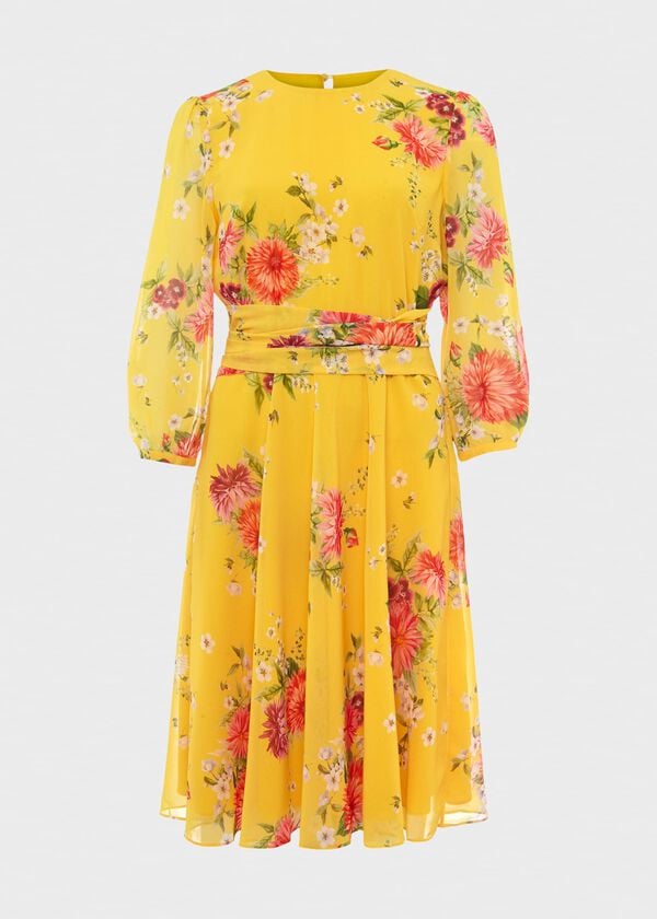 Hobbs Jasmina Floral Fit And Flare Dress Yellow Multi