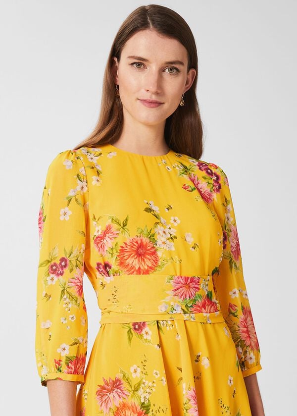 Hobbs Jasmina Floral Fit And Flare Dress Yellow Multi