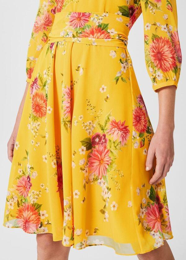 Hobbs Jasmina Floral Fit And Flare Dress Yellow Multi