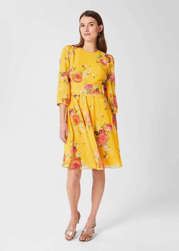 hobbs Jasmina Floral Fit And Flare Dress Yellow Multi