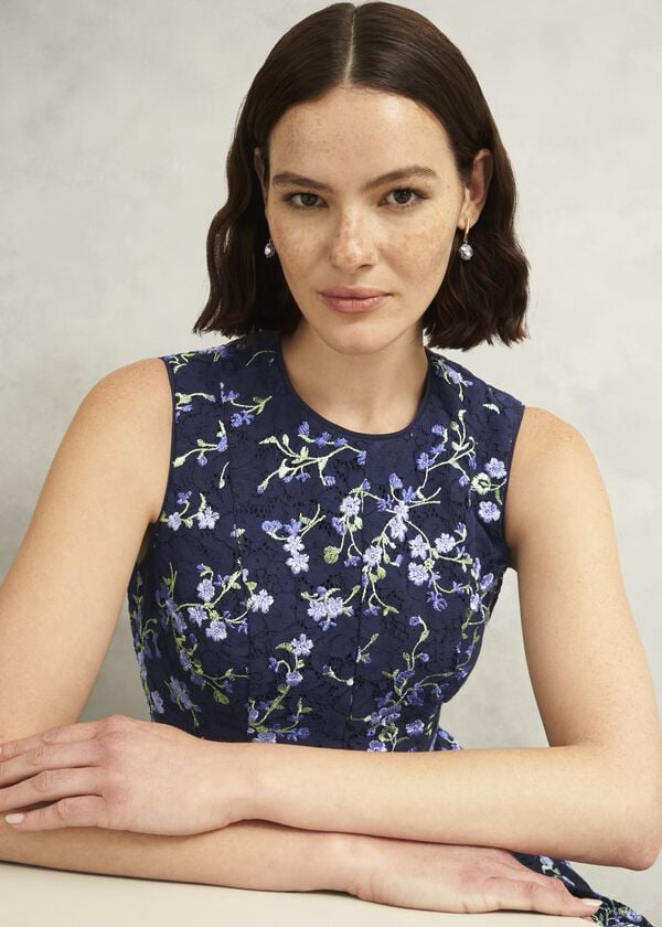 Hobbs Petite Ria Embroidered Floral Dress Midnight Multi