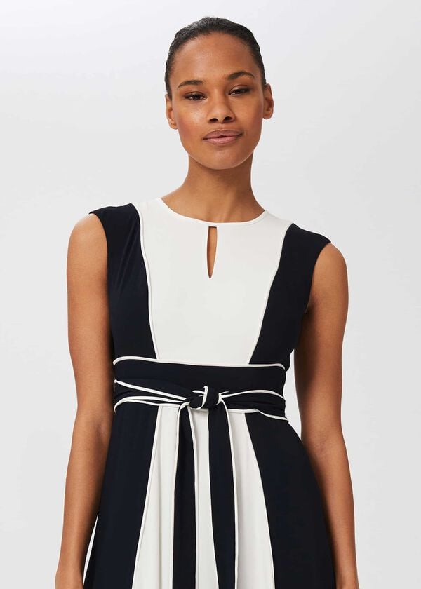 Hobbs Rae Colourblock Fit And Flare Dress Navy Ivory