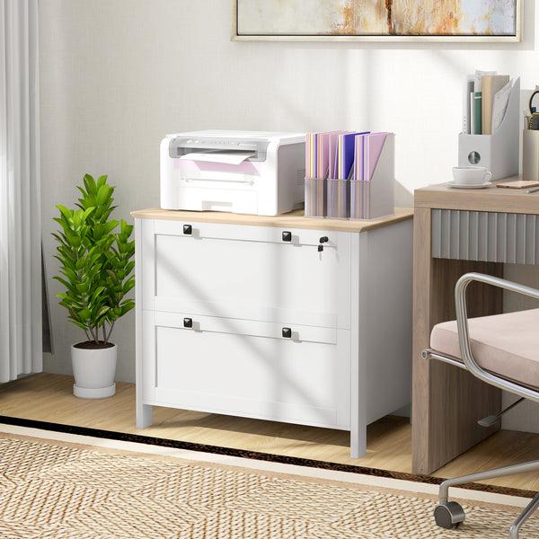 Homcom 2 Drawer Filing Cabinet With Adjustable Hanging Bar For Letter A4 White