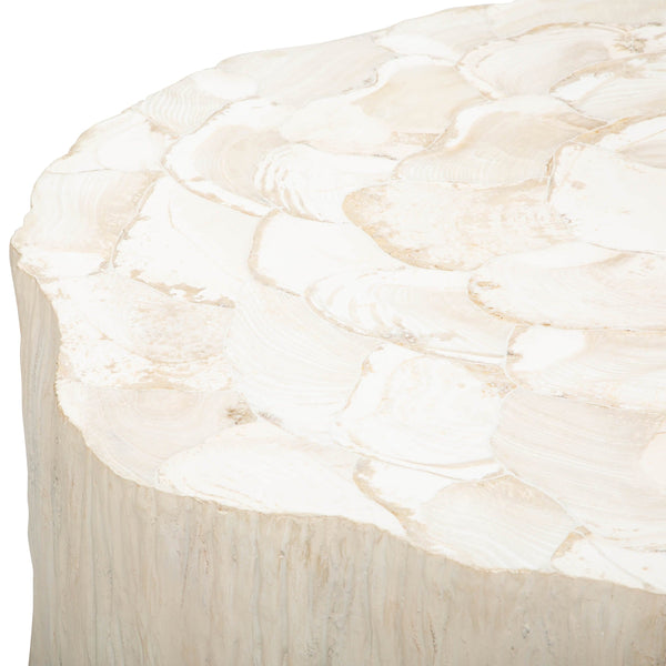 Home Fashion Camilla Fossilized Clam Coffee Table