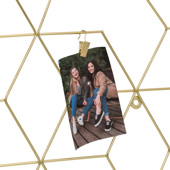 Honey Can Do Gold Hanging Photo Display Holder With 10 Clips
