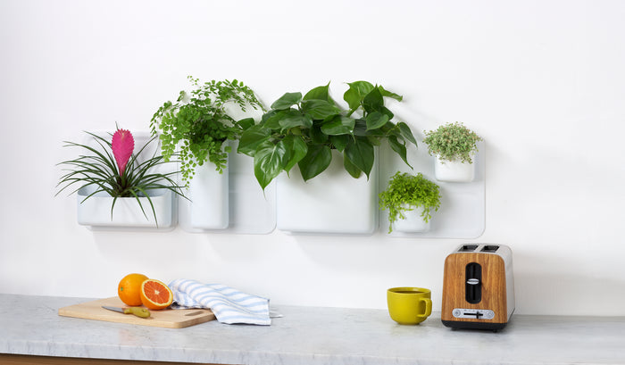 Honey Can Do Perch White Stumpy Organizer