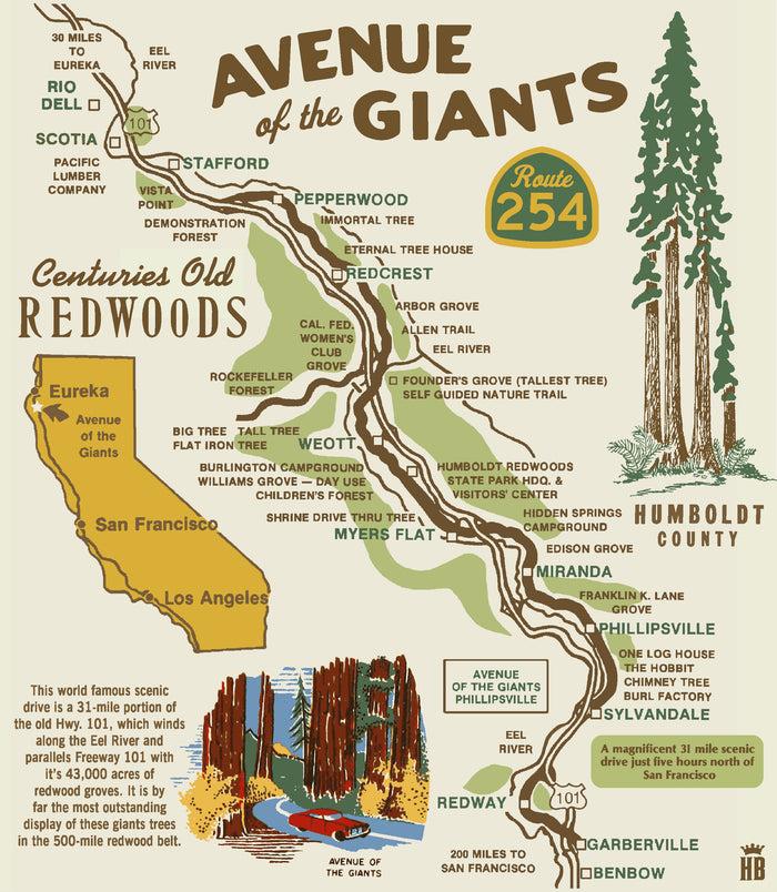 Honour Brand Avenue Of The Giants T-Shirt