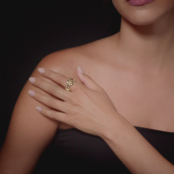 Hoorsenbuhs QUAD LINK